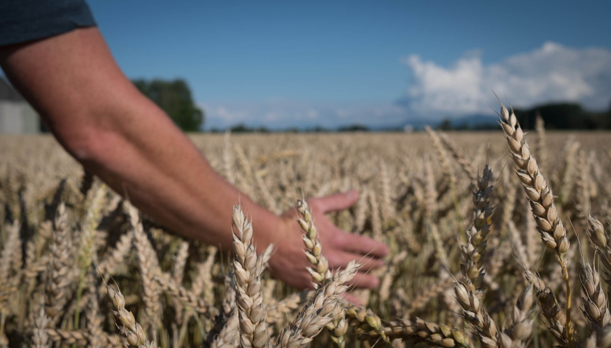 François Bueche Moulin Du Chêne 13 (1)